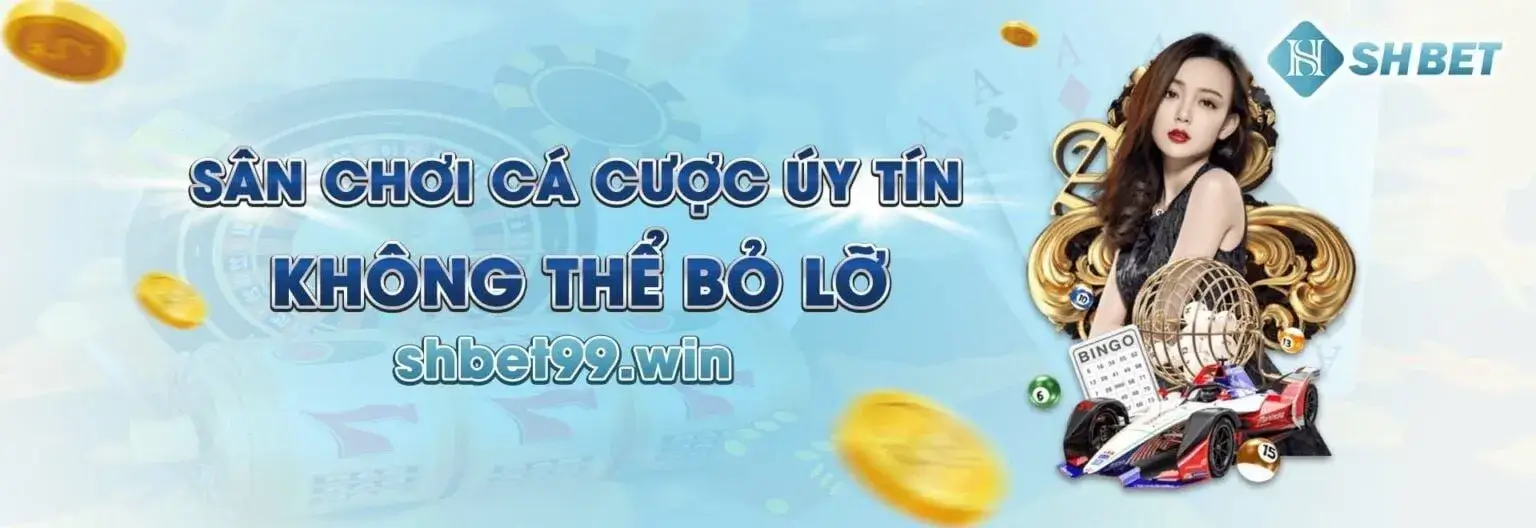 shvet800.com sân chơi uy tín